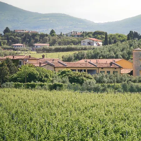 Delicious House Michelangelo