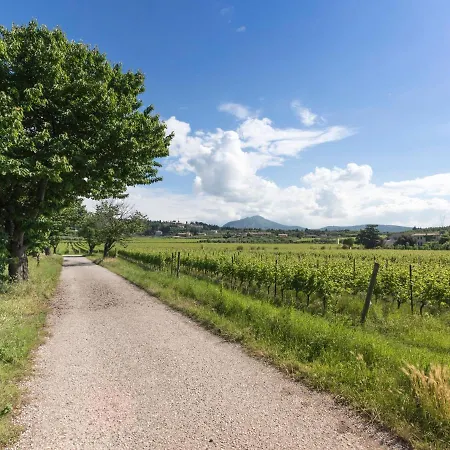 Delicious House Michelangelo דירה קאבאיון ורונסה