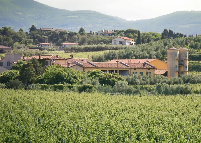 Delicious House Michelangelo