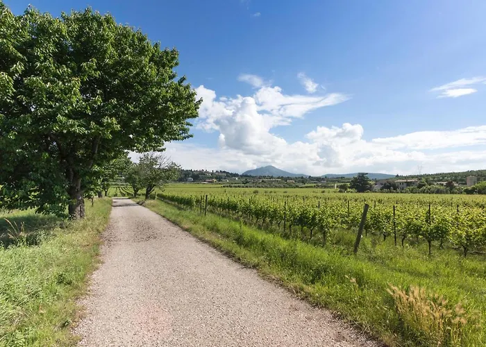 Delicious House Michelangelo Apartman Cavaion Veronese